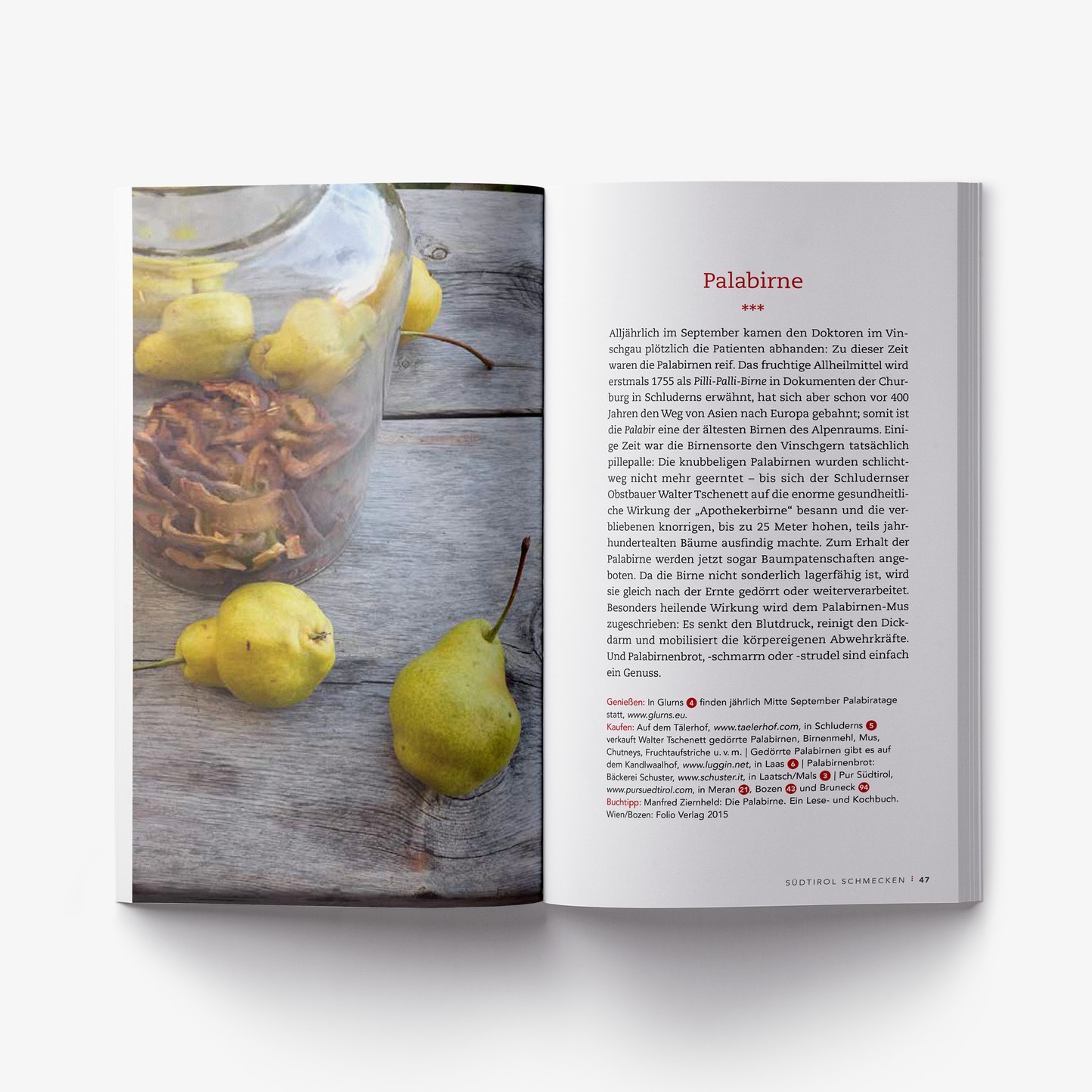 Libro di cucina / Cookbook