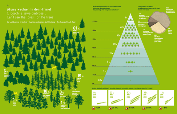 Libro infografico / Infographic book