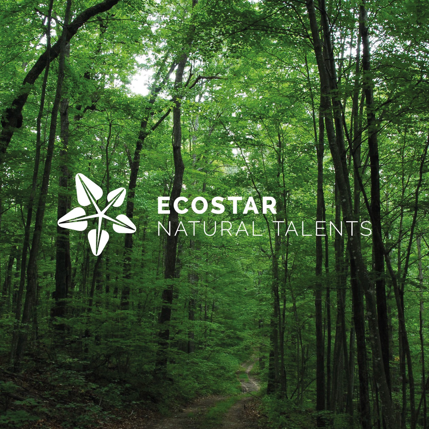 Logo Ecostar