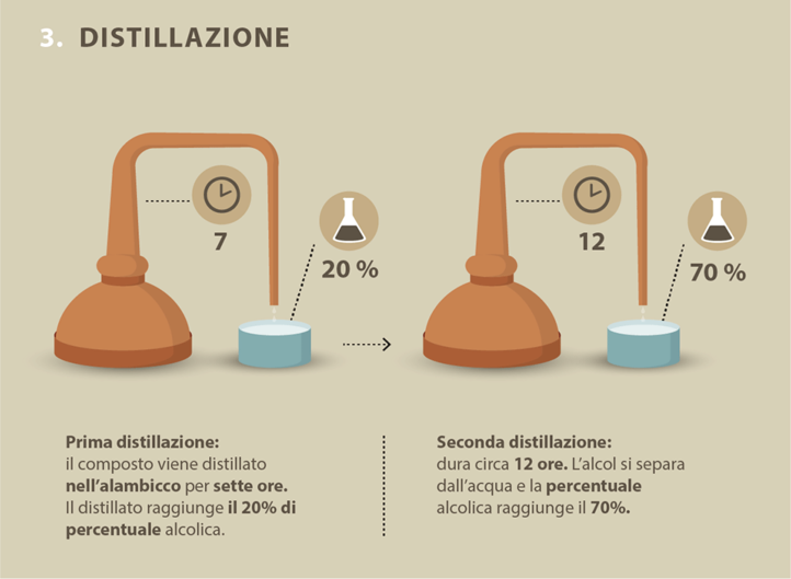 Infografica on-line / On-line infographics