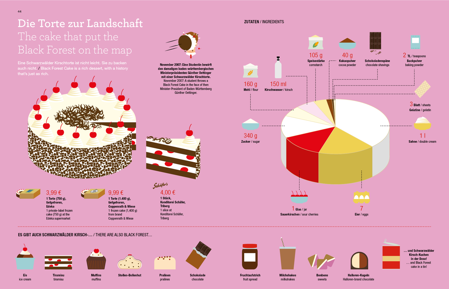 Libro infografico / Infographic book