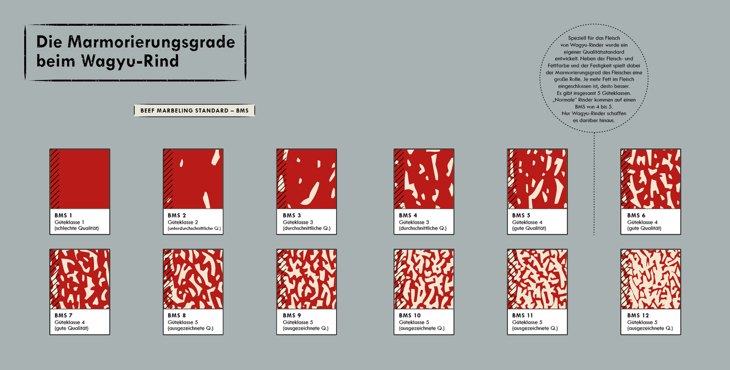 Infographics about meat