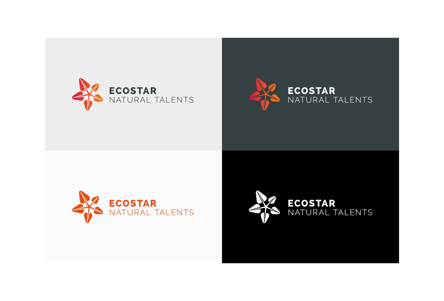 Logo Ecostar