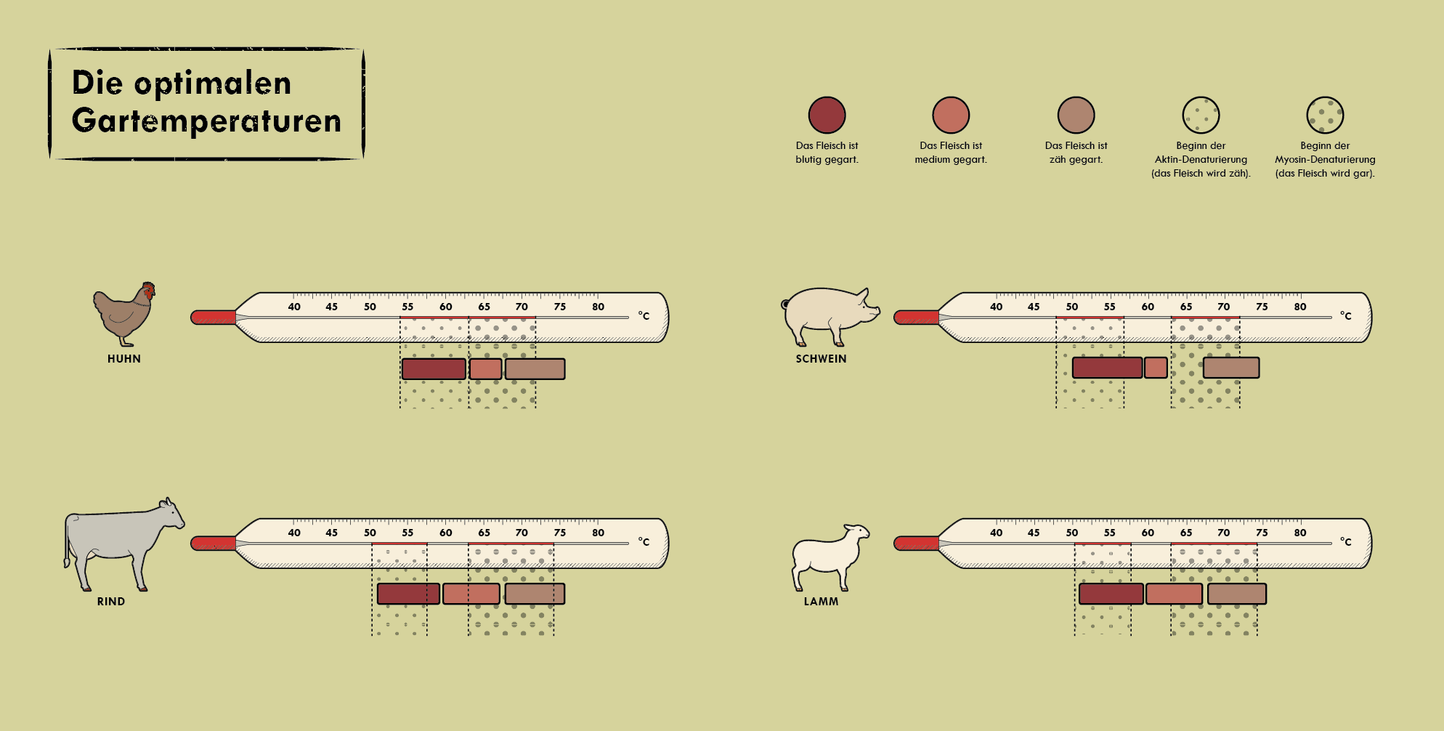 Infographics about meat