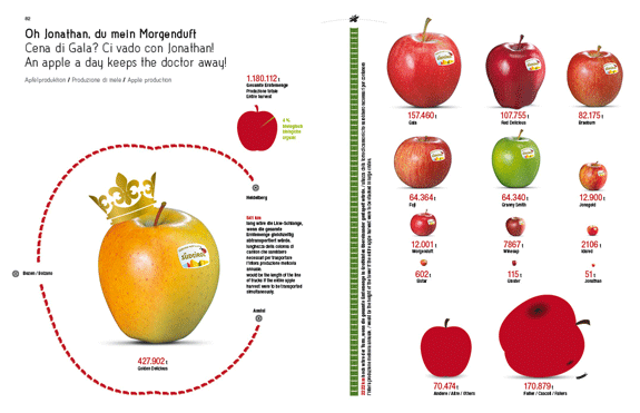 Libro infografico / Infographic book