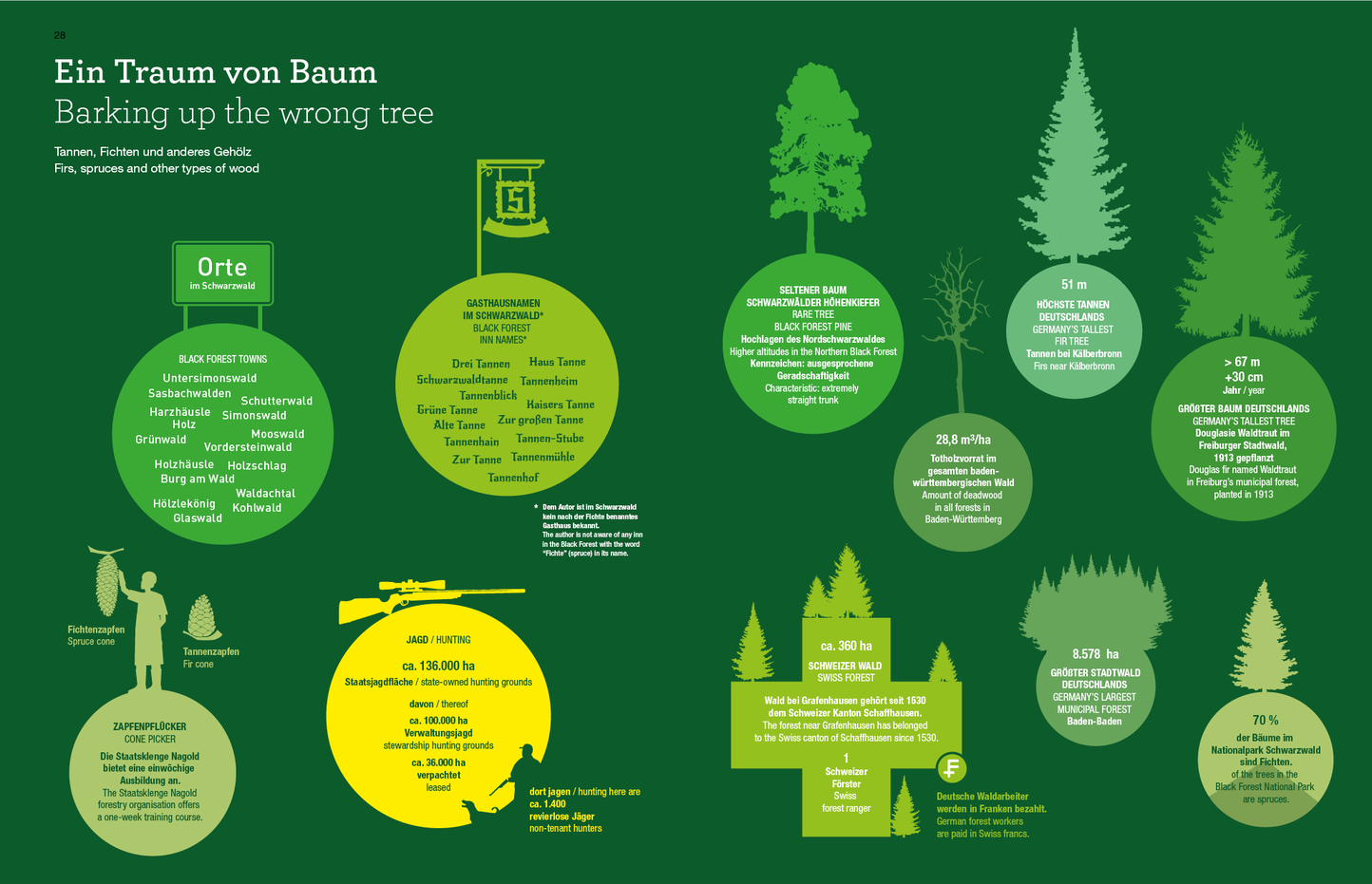 Libro infografico / Infographic book