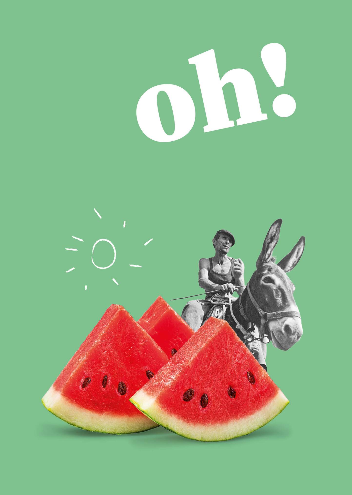 Oh!&nbsp;Collana di guide turistiche&nbsp; /&nbsp;Tourist guide series