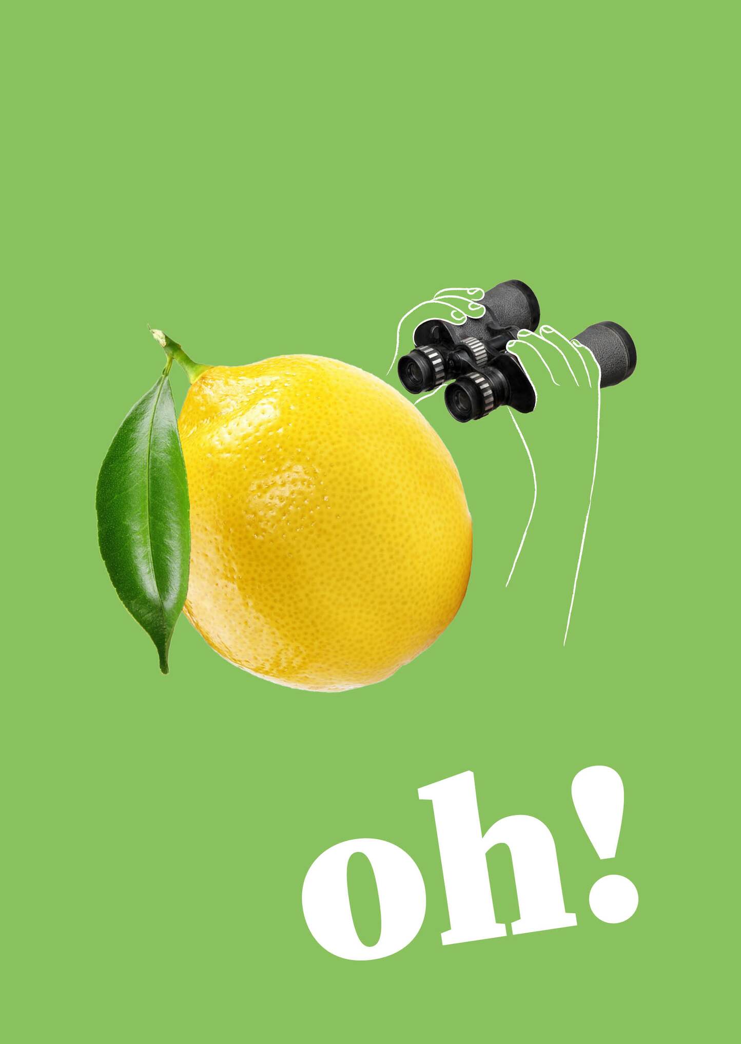 Oh!&nbsp;Collana di guide turistiche&nbsp; /&nbsp;Tourist guide series