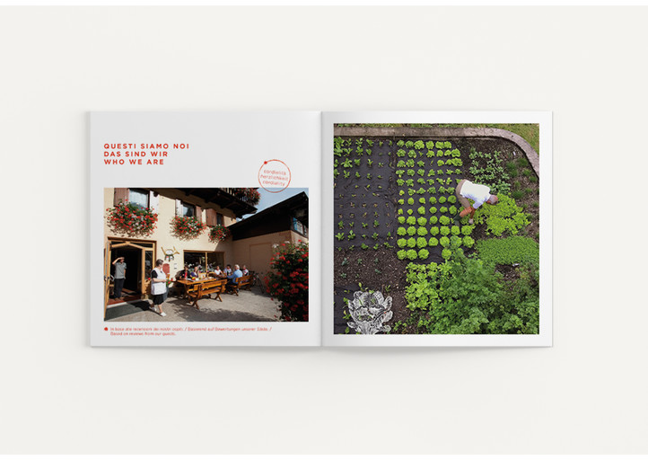 Catalogo / Brochure