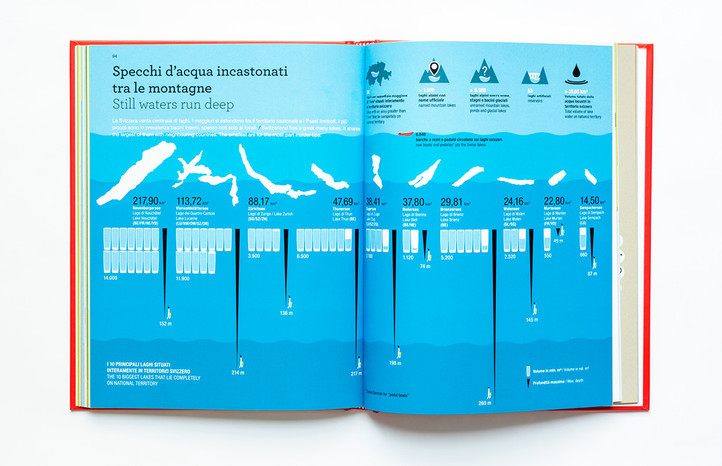 Libro infografico / Infographic book