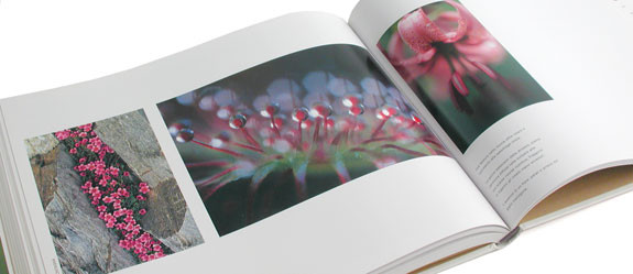 Libro fotografico / Photobook